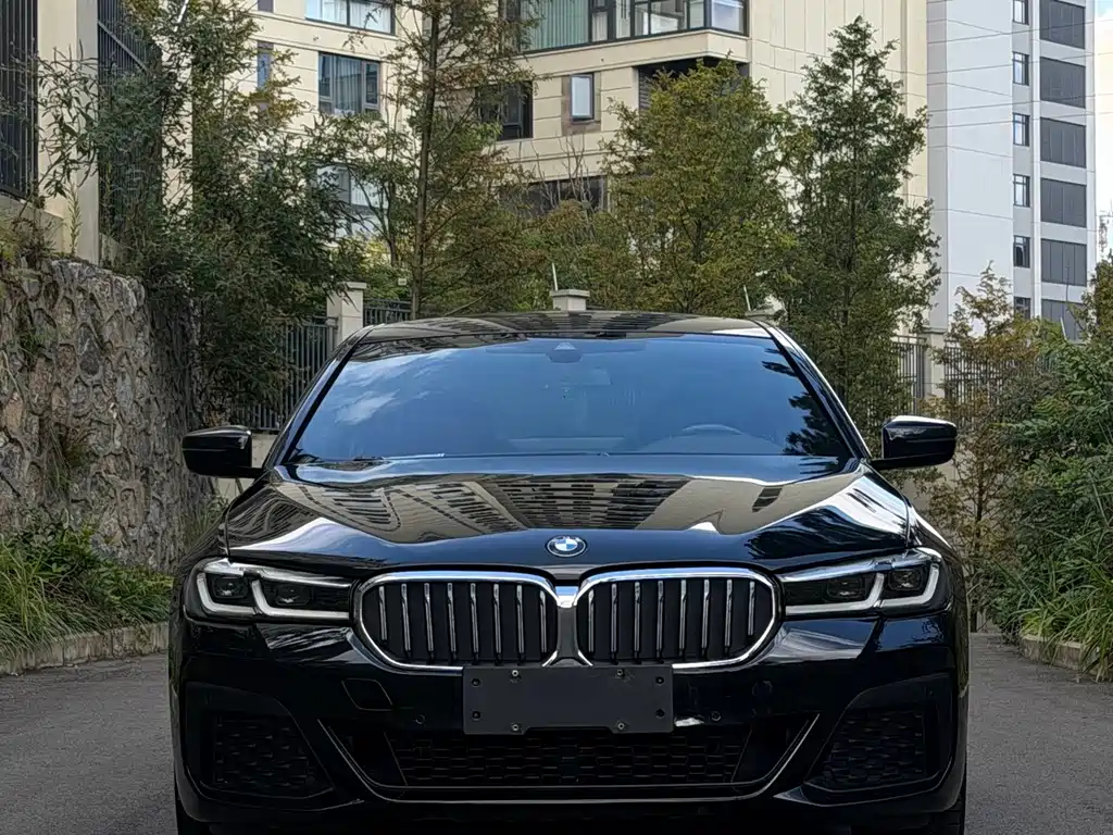BMW 5 Series — миниатюра 2