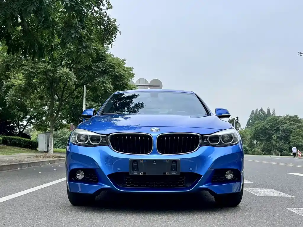 BMW 3 Series GT 320i M Sport Package, фото 2