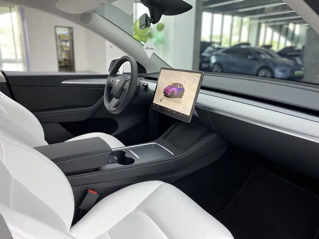 Tesla Model Y — миниатюра 20
