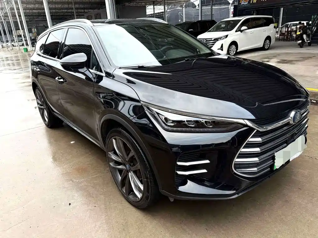 BYD Tang New Energy — миниатюра 2