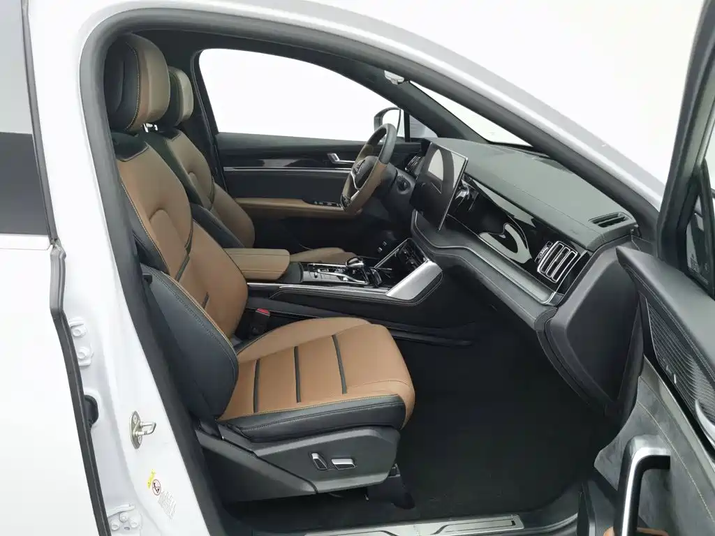 BYD Tang New Energy — миниатюра 23