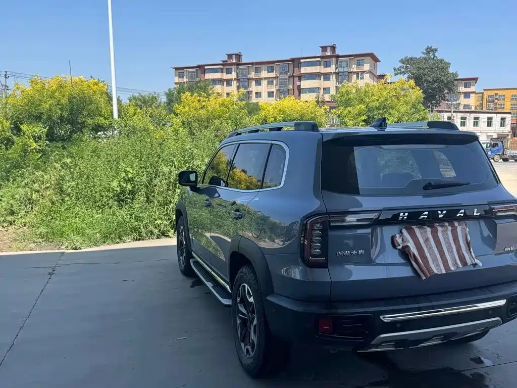 Haval Big Dog — миниатюра 7