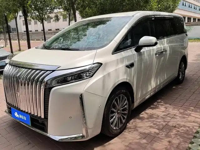 2025 Wey Gaoshan