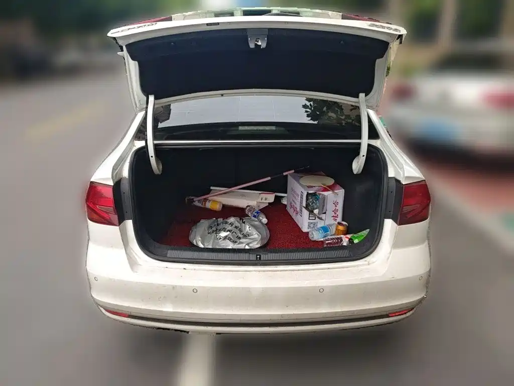 Volkswagen Bora — миниатюра 15