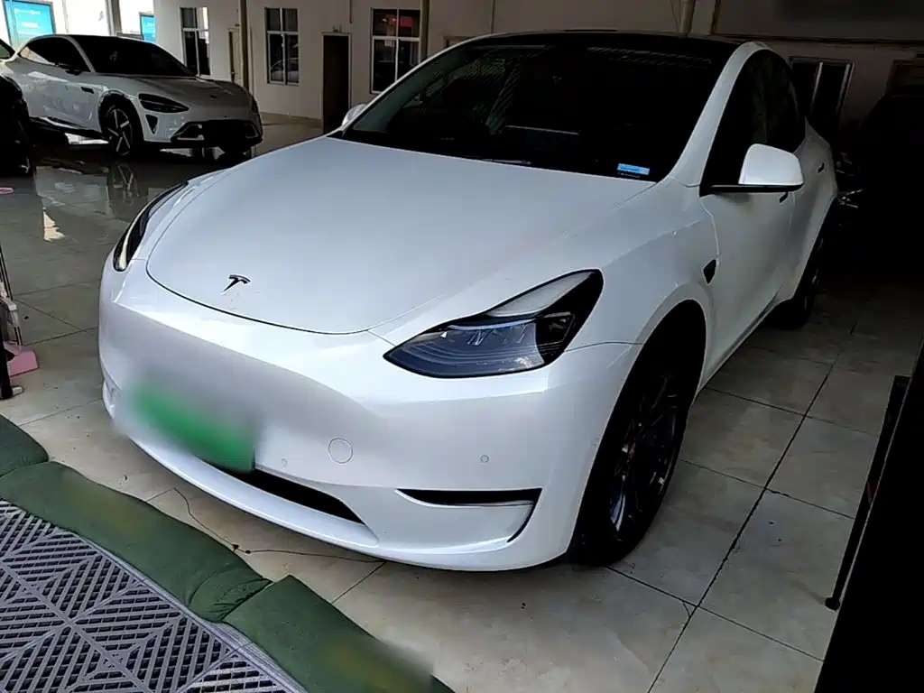 Tesla Model Y — миниатюра 2
