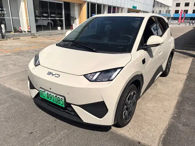 2025 BYD Seagull