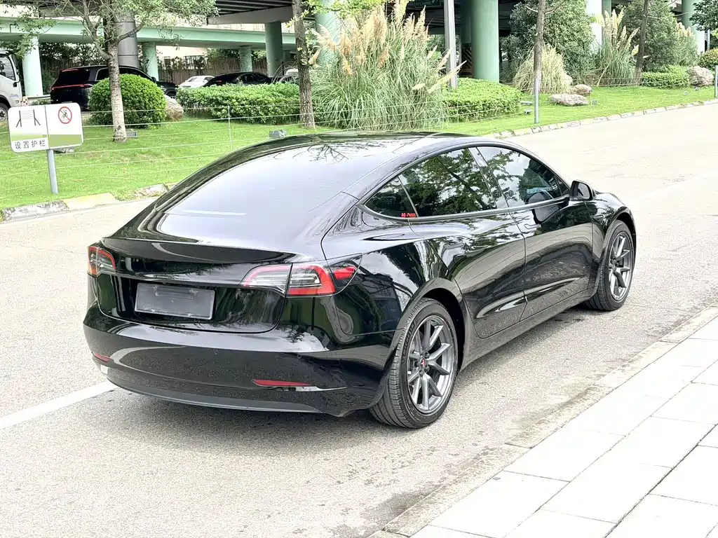 Tesla Model 3 — миниатюра 4