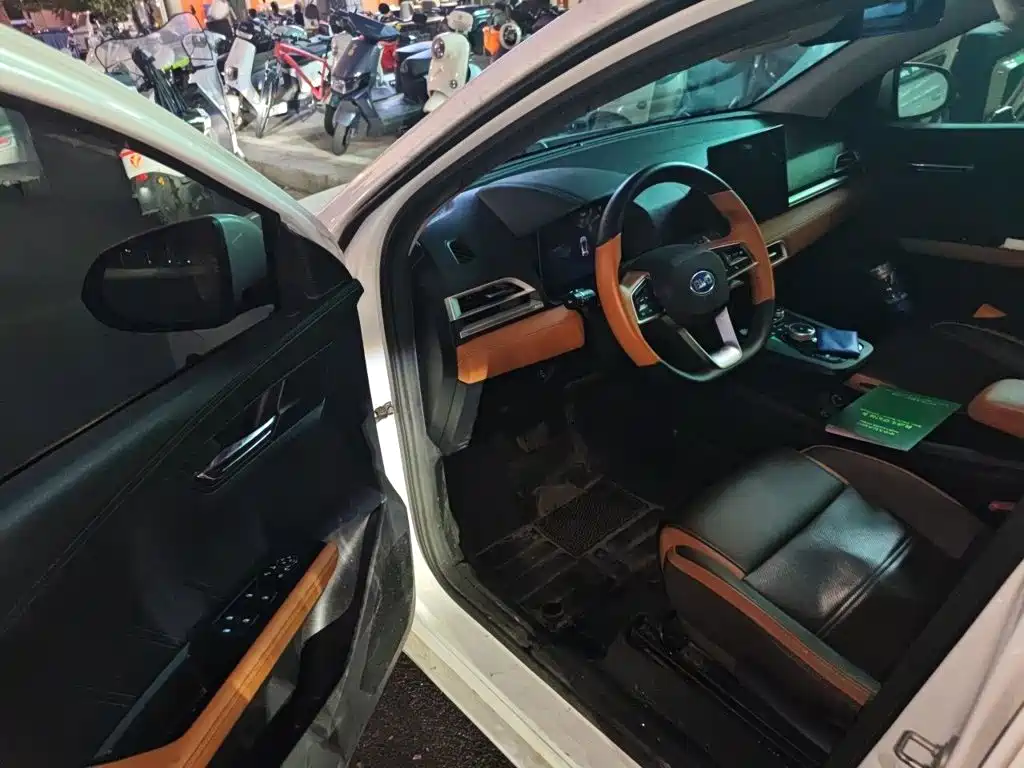 BYD e2 — миниатюра 17