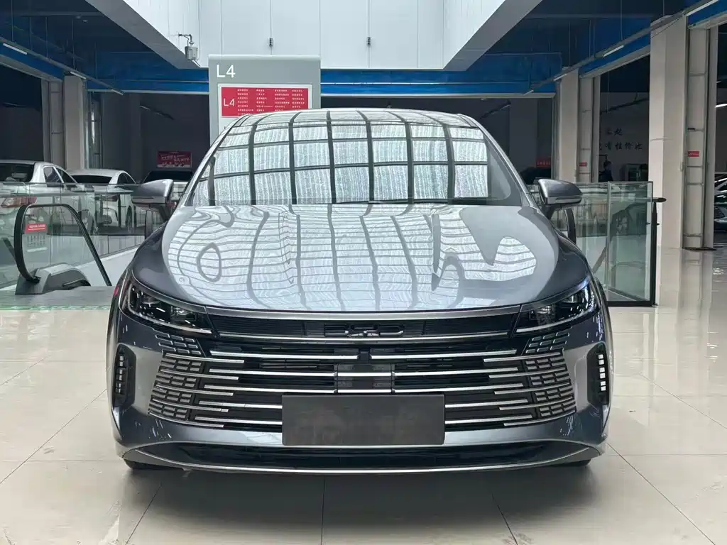 BYD Destroyer 05 2024 DM-i 55KM Luxury