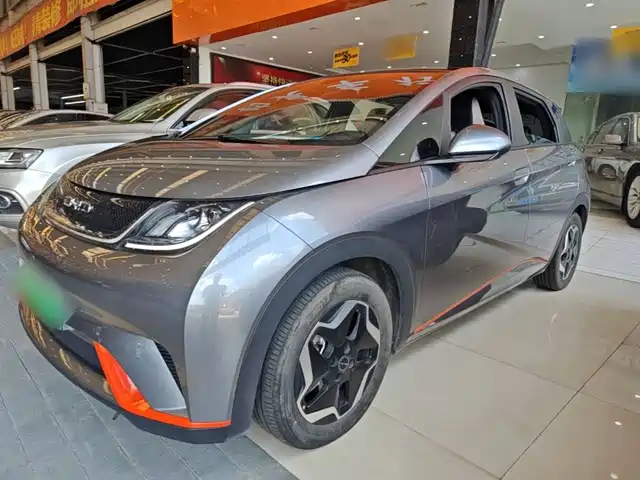 2023 BYD Dolphin