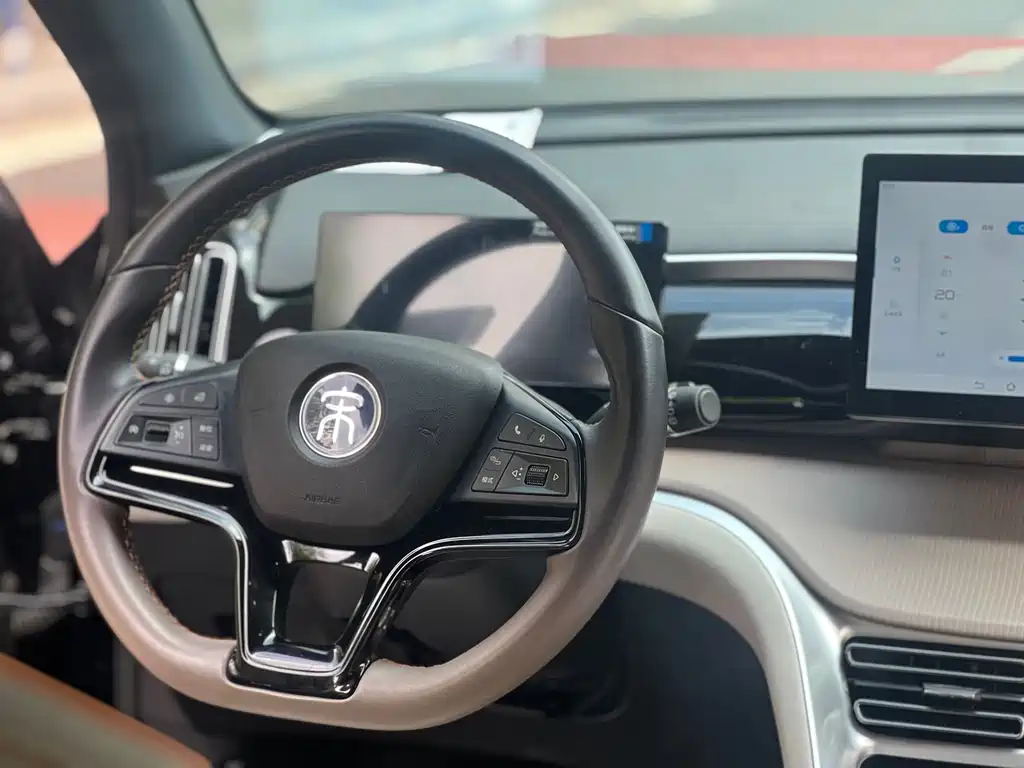 BYD Pro New Energy - фото 8