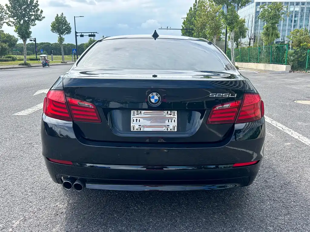 BMW 5 Series — миниатюра 5
