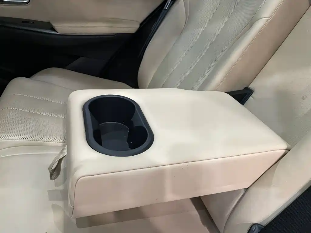 BYD SONGJIANG NEW ENERGY