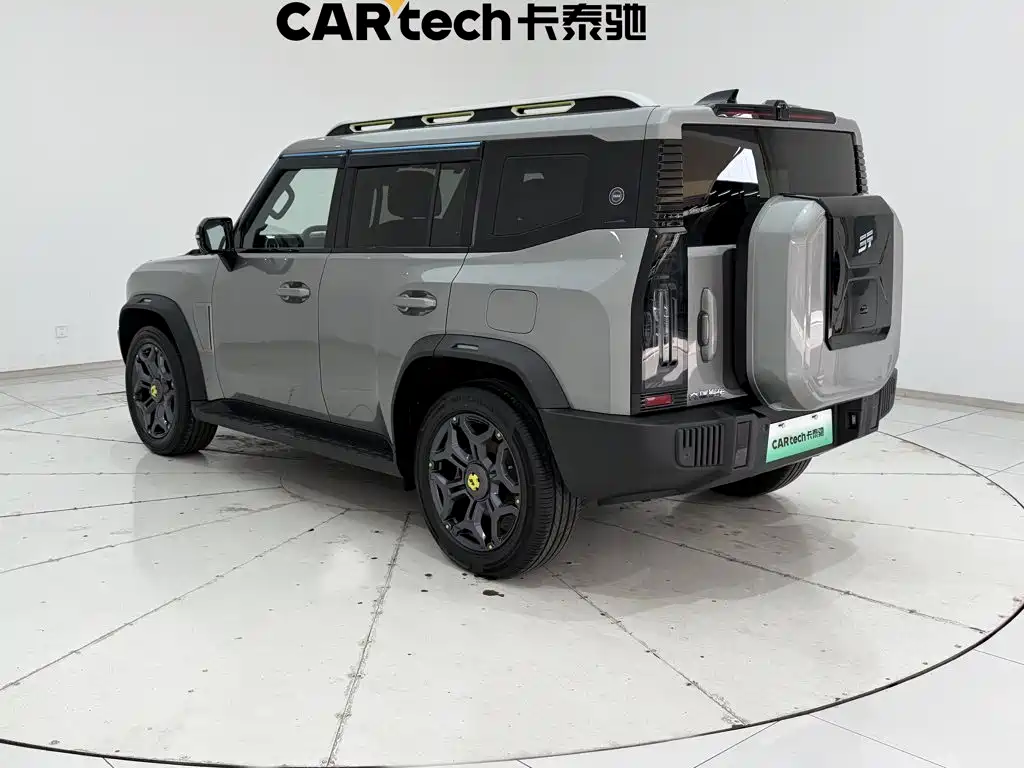 Shanhai Краткосрочный путешественник C-DM — миниатюра 7