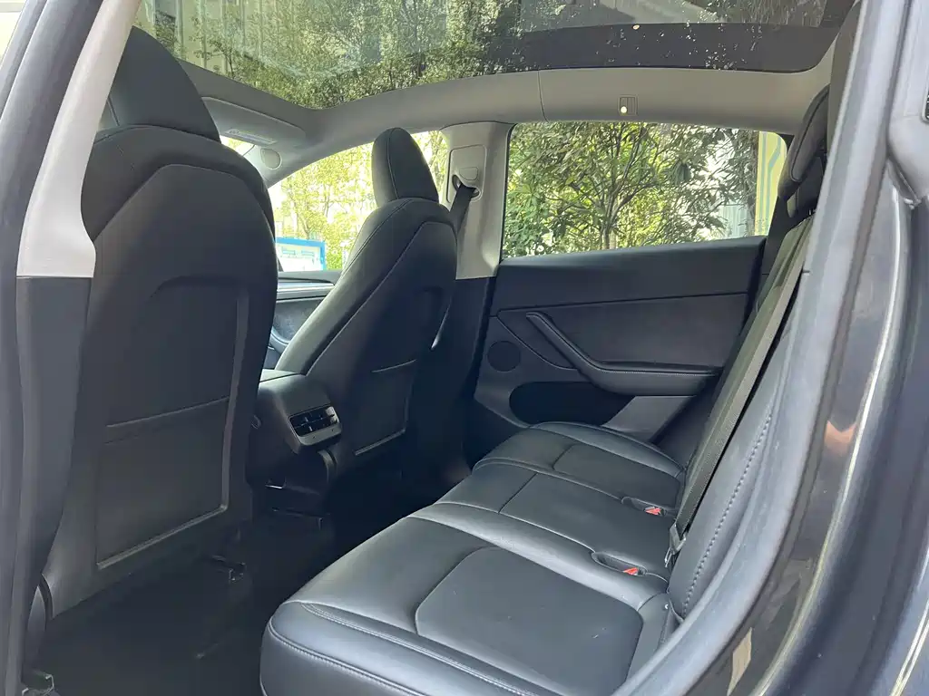 Tesla Model Y — миниатюра 6