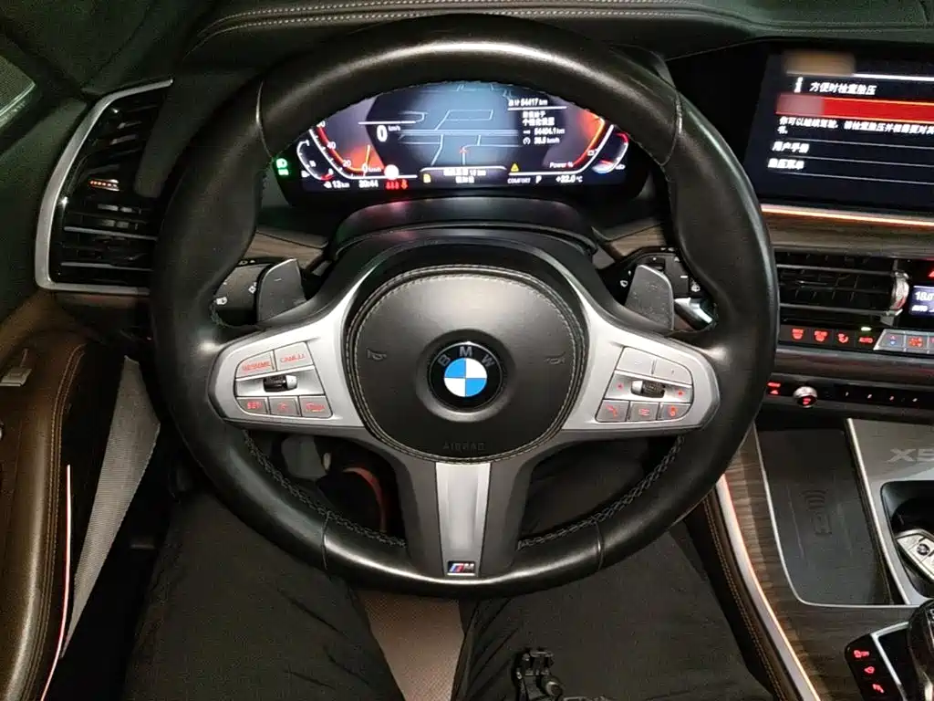 BMW X5 — миниатюра 11