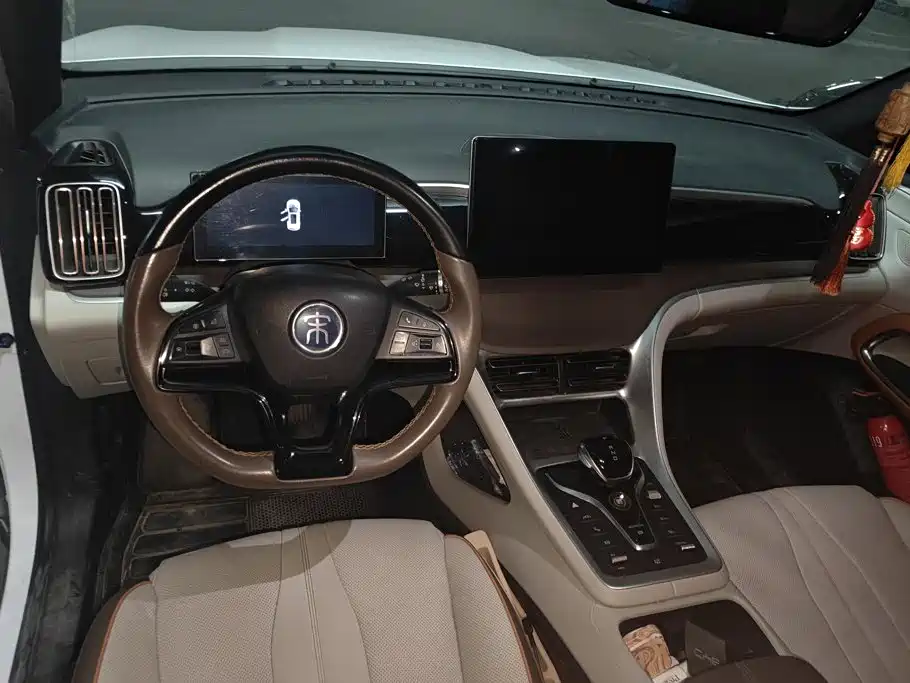 BYD Pro New Energy — миниатюра 12