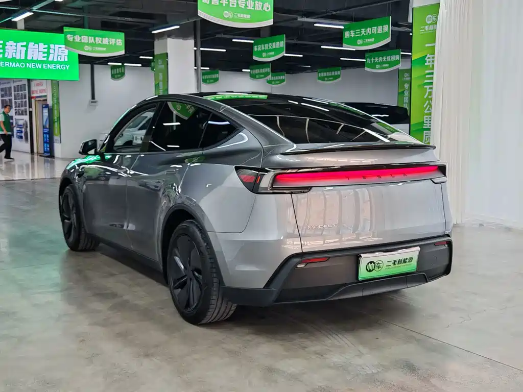 Tesla Model Y — миниатюра 5