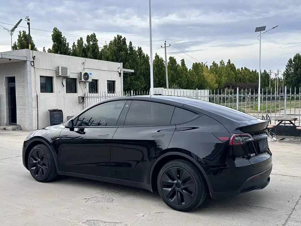 Tesla Model Y — миниатюра 6