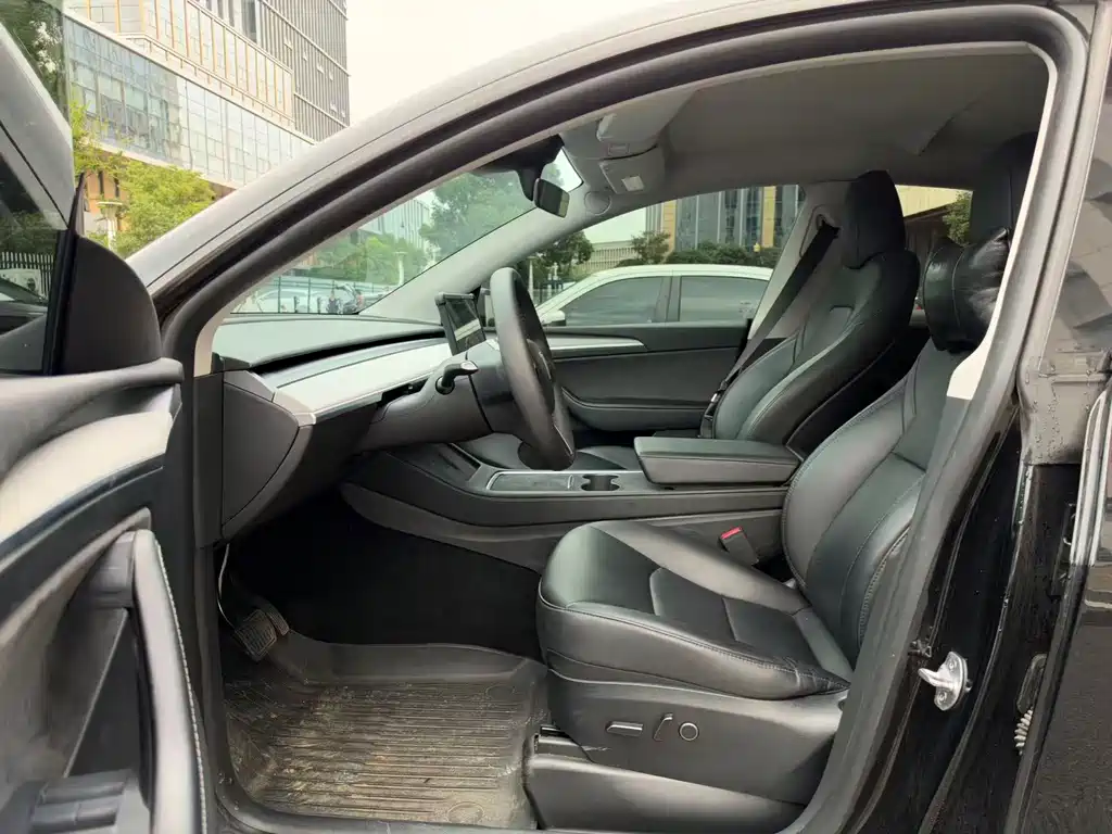Tesla Model Y — миниатюра 10