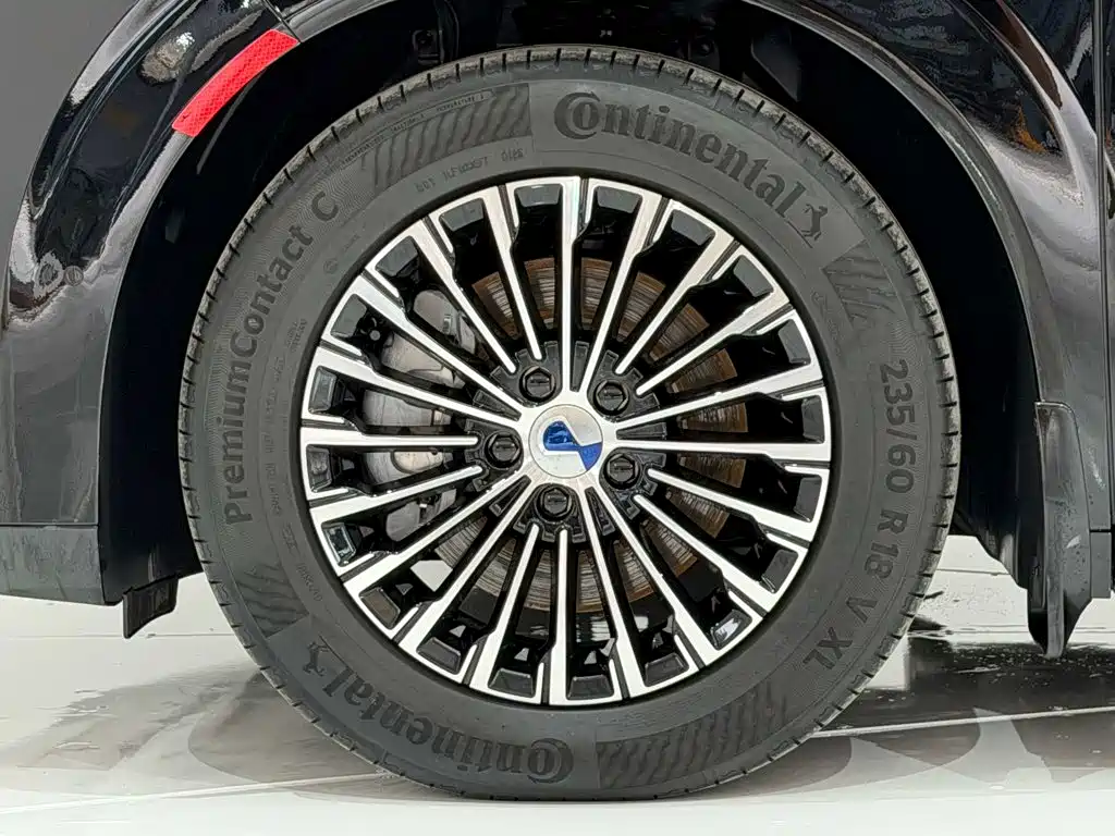 Denza Denza D9 — миниатюра 11