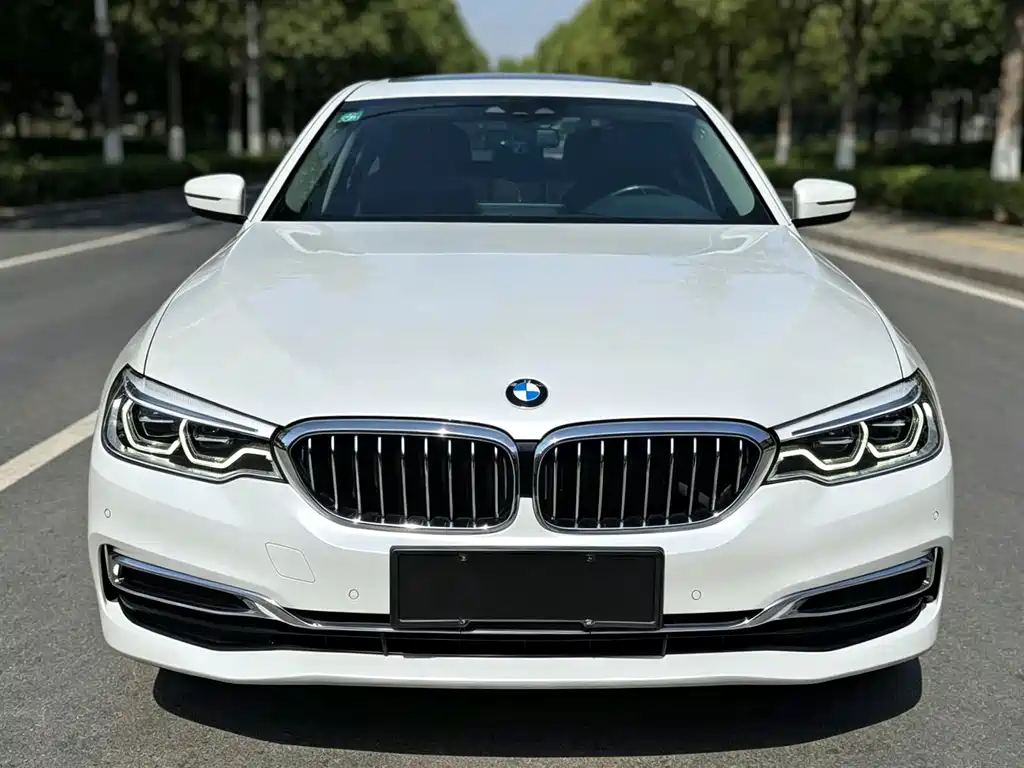 BMW 5 Series New Energy — миниатюра 2