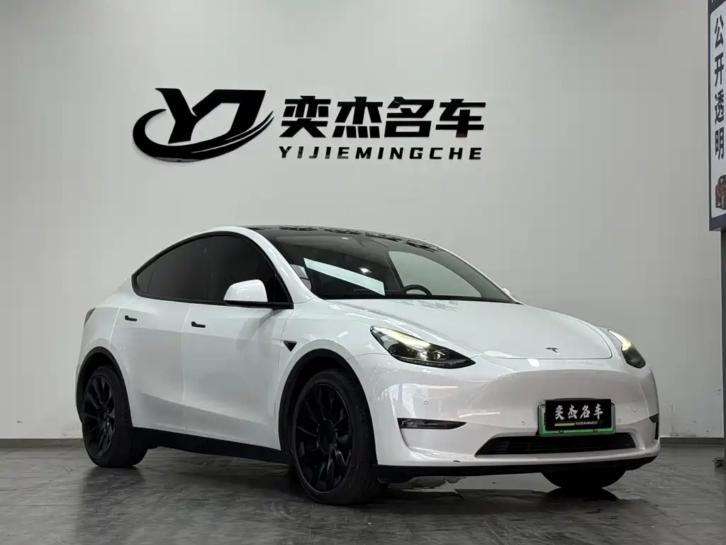 Tesla Model Y — миниатюра 3