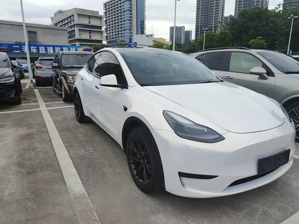 Tesla Model Y — миниатюра 2