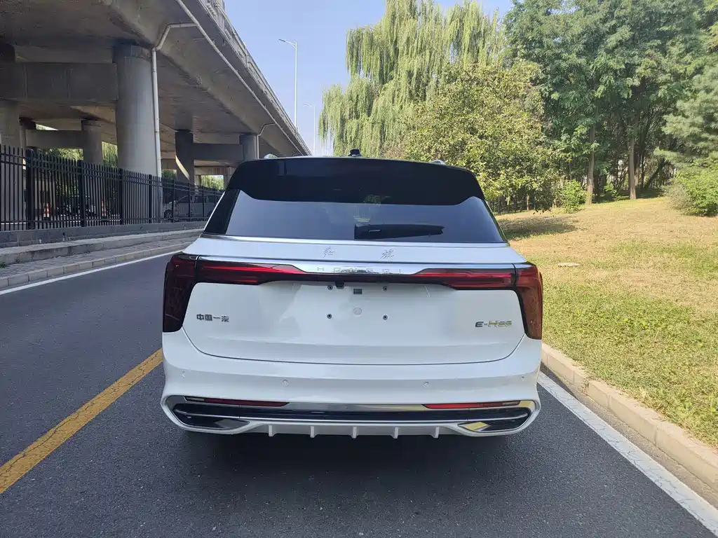 Hongqi Hongqi E-HS9 — миниатюра 4