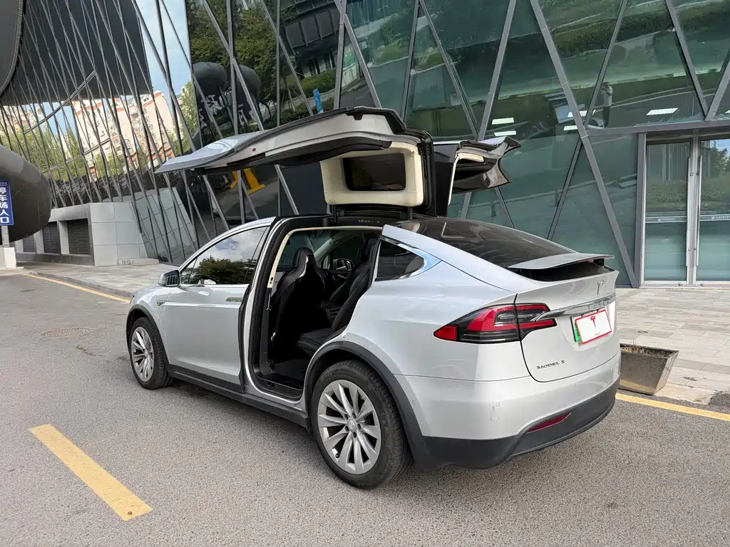 Tesla Model X — миниатюра 4