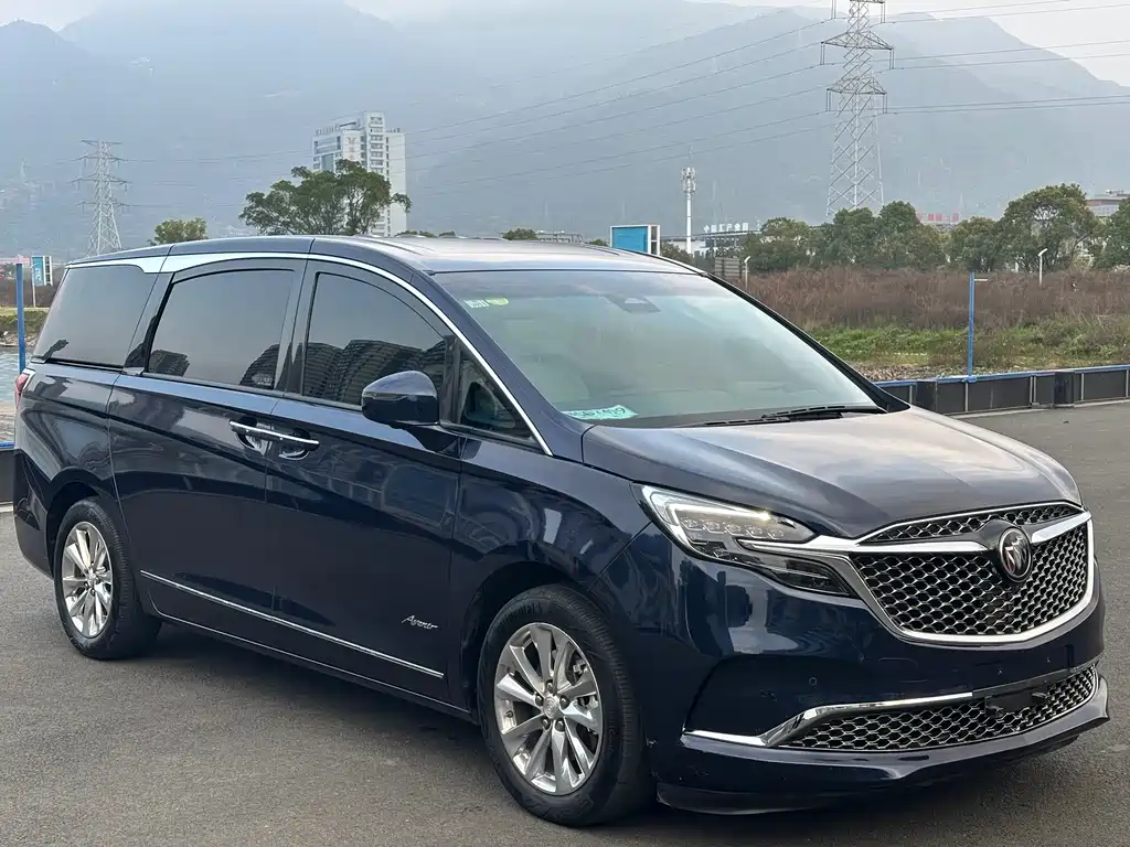Buick GL8 — миниатюра 3
