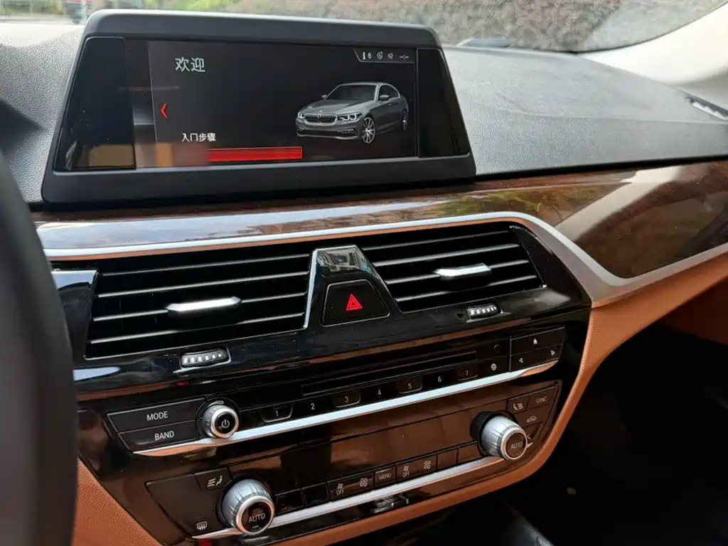 BMW 5 Series — миниатюра 20