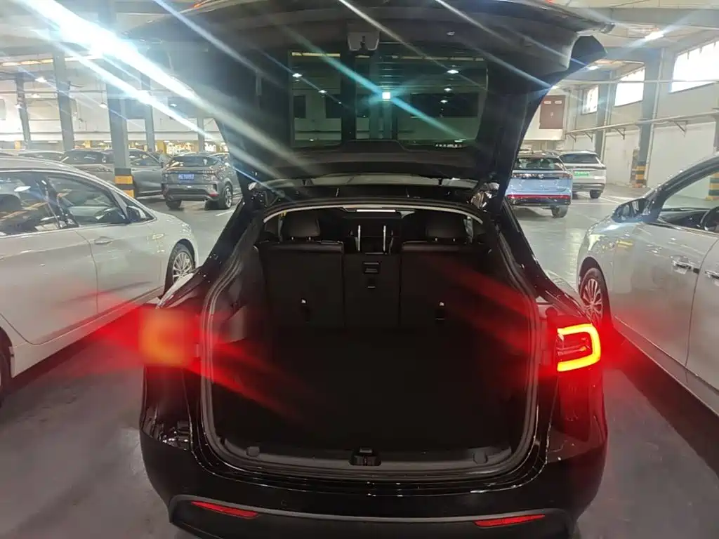 Tesla Model Y — миниатюра 19