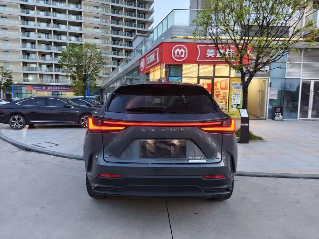Lexus NX — миниатюра 4