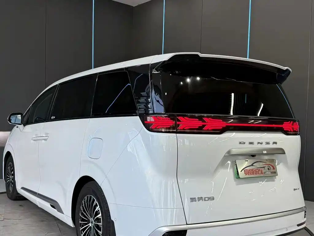 Denza Denza D9 — миниатюра 8