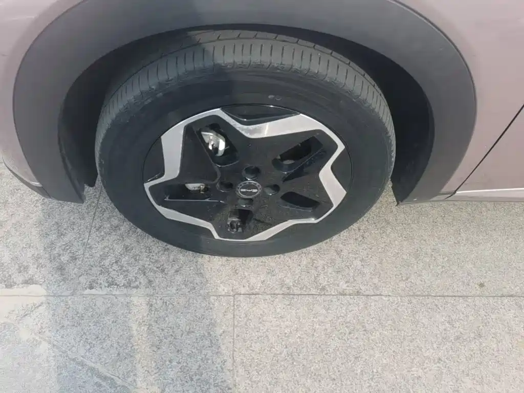 BYD Dolphin — миниатюра 23