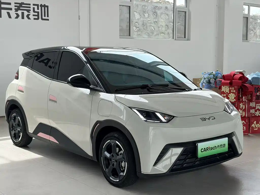 Byd Seagull 2024