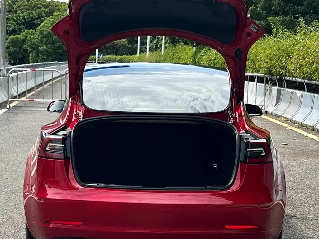 Tesla Model 3 — миниатюра 14