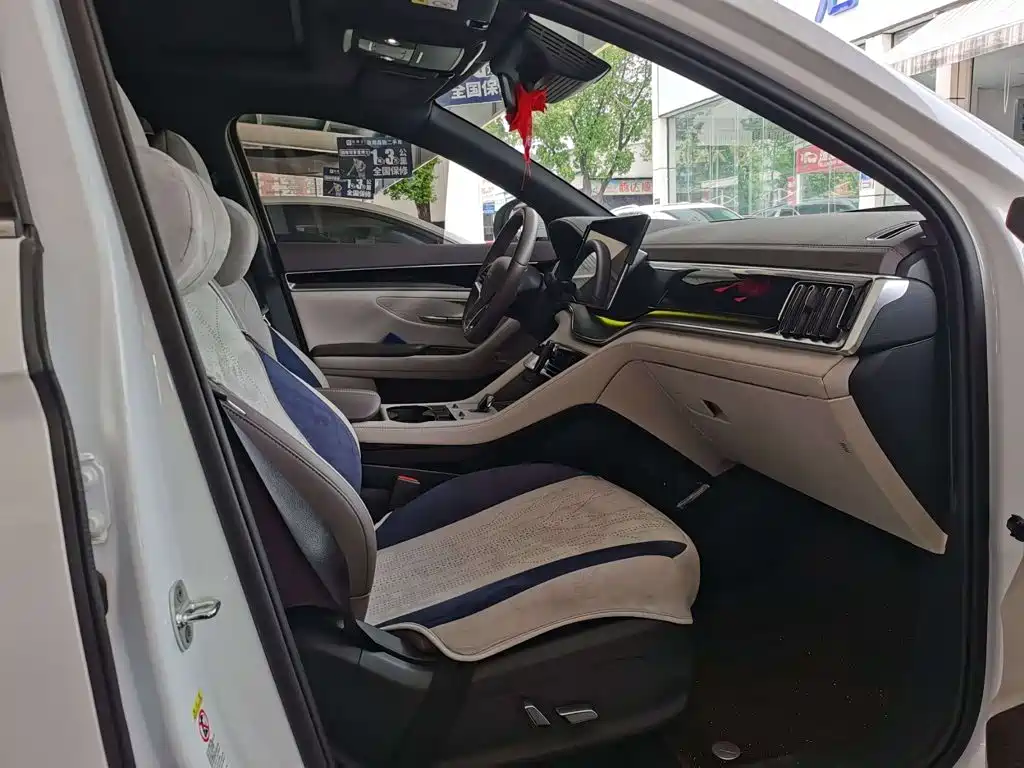 BYD PLUS New Energy — миниатюра 7