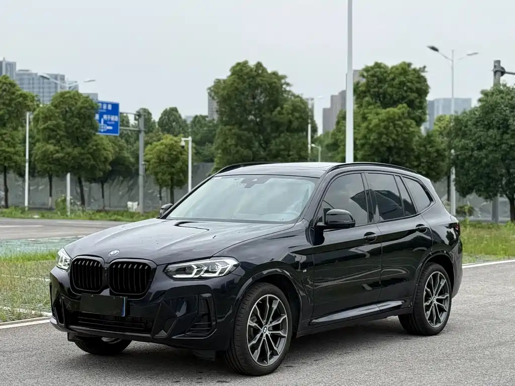 BMW X3 — миниатюра 2
