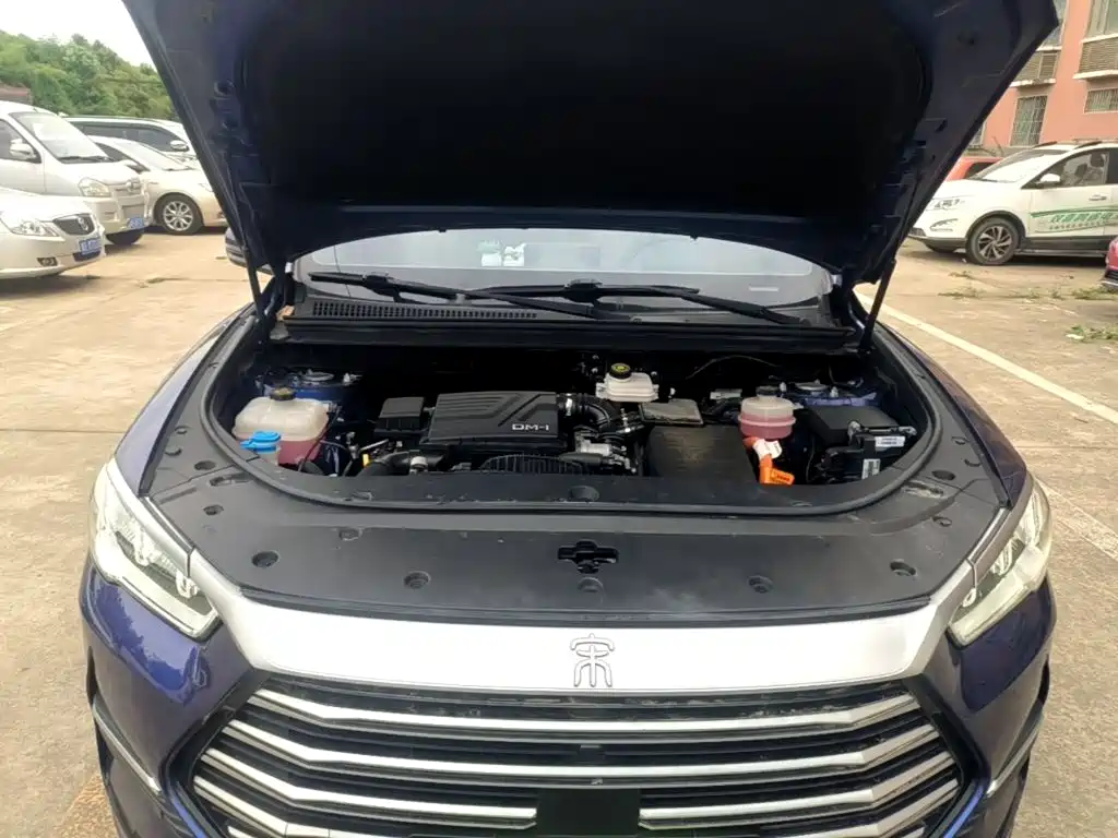 BYD Pro New Energy — миниатюра 20