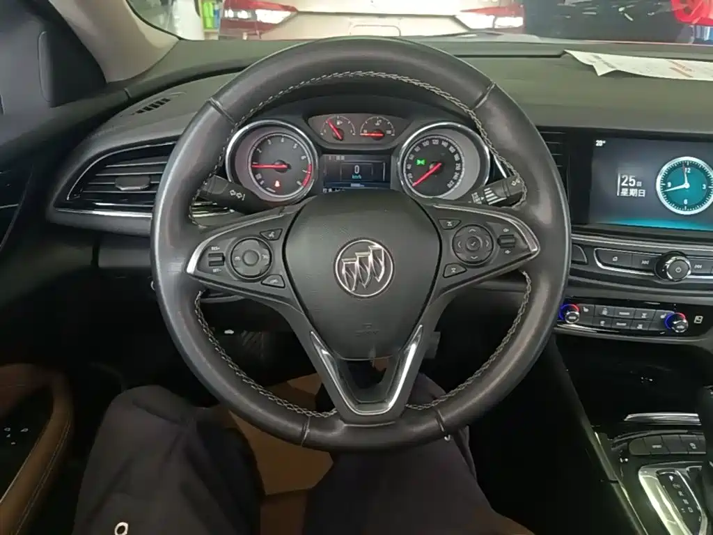 Buick Regal — миниатюра 11