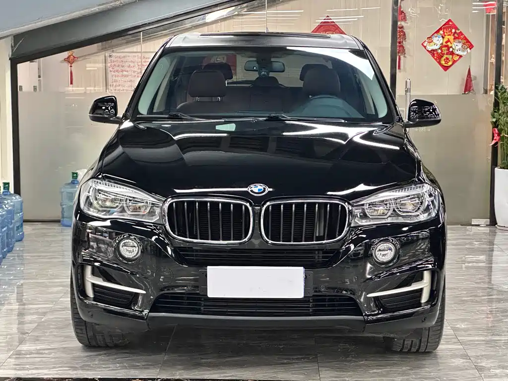 BMW X5 (Import) — миниатюра 2