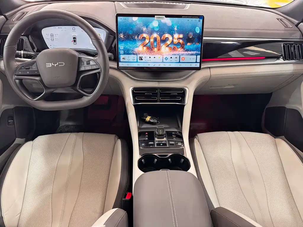 BYD SONGJIANG NEW ENERGY