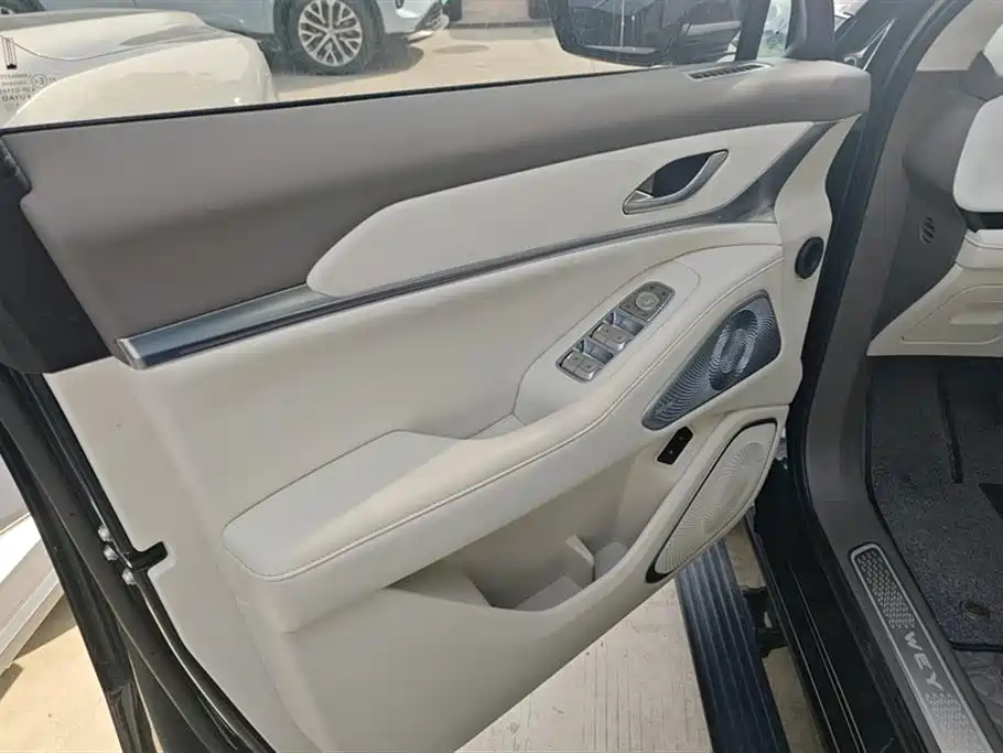 WEI PAI WEI BRAND BLUE MOUNTAIN