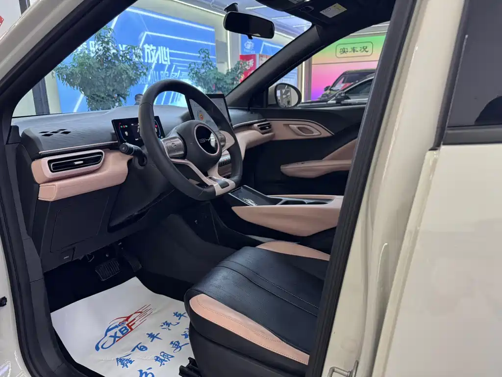 BYD Seagull