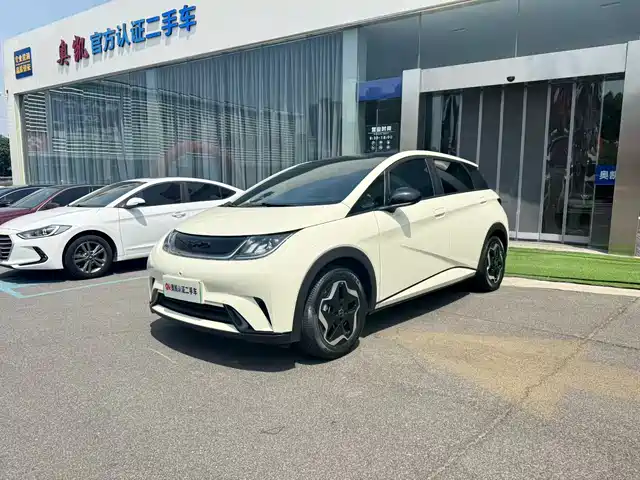 2023 BYD Dolphin