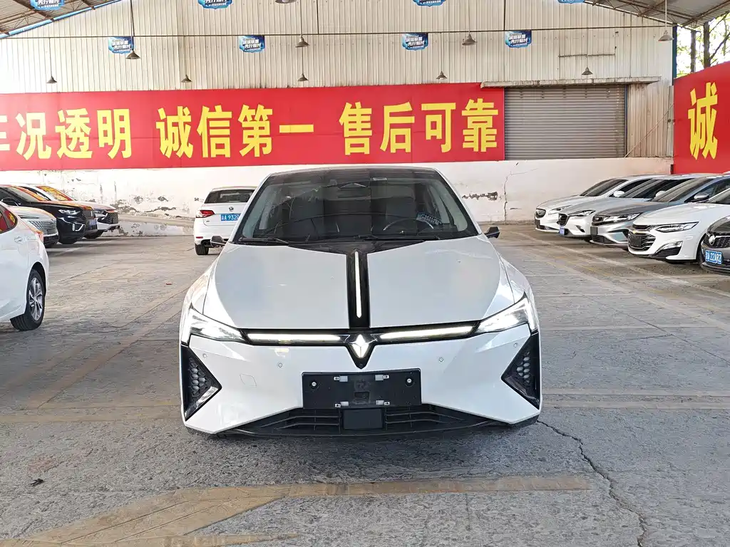 Lingxi Lingxi L — миниатюра 2