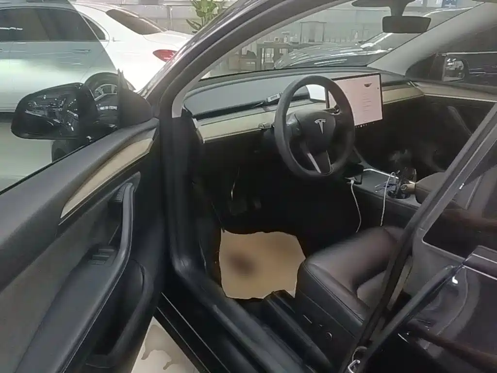 Tesla Model Y — миниатюра 16