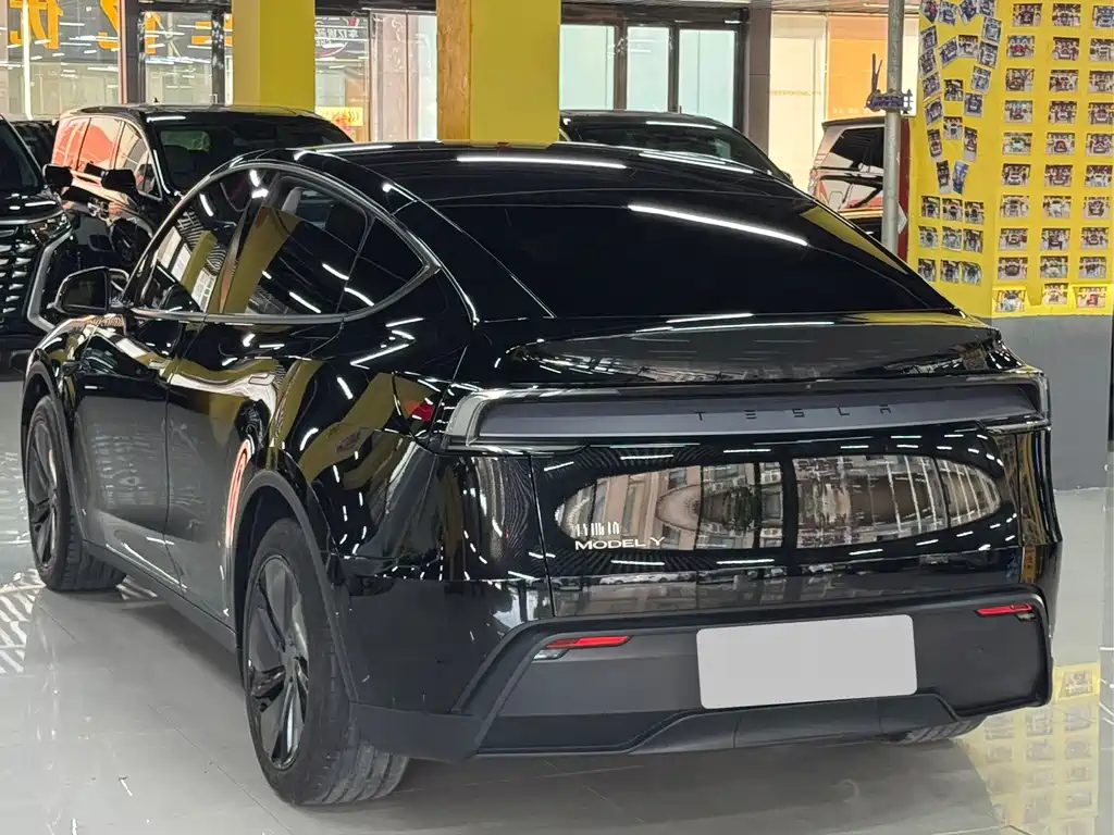 Tesla Model Y — миниатюра 16